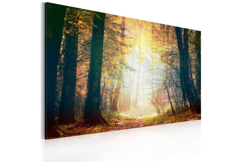 Tavla Skönheten Höst 60x40 - Artgeist sp. z o. o. - Inredning - Tavlor & konst - Canvastavlor