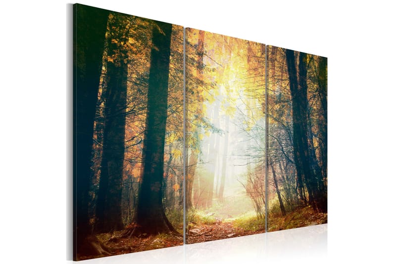 Tavla Skönheten Höst Triptych 60x40, Artgeist sp. z o. o.