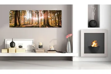 Tavla Small Natural Wonders 120x40 - Artgeist sp. z o. o. - Inredning - Tavlor & konst - Canvastavlor