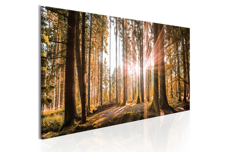 Tavla Small Natural Wonders 135x45, Artgeist sp. z o. o.