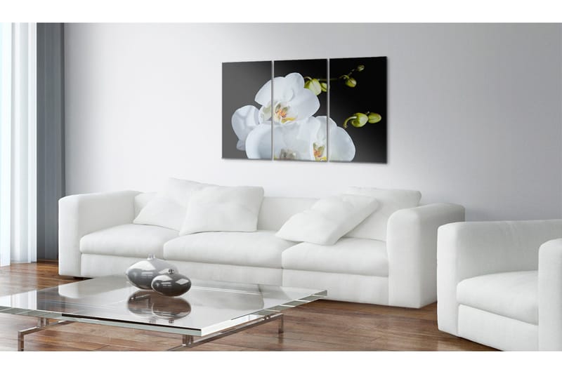 Tavla Snöig Orkidé 120x80 - Artgeist sp. z o. o. - Inredning - Tavlor & konst - Canvastavlor