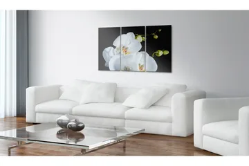 Tavla Snöig Orkidé 60x40 - Artgeist sp. z o. o. - Inredning - Tavlor & konst - Canvastavlor