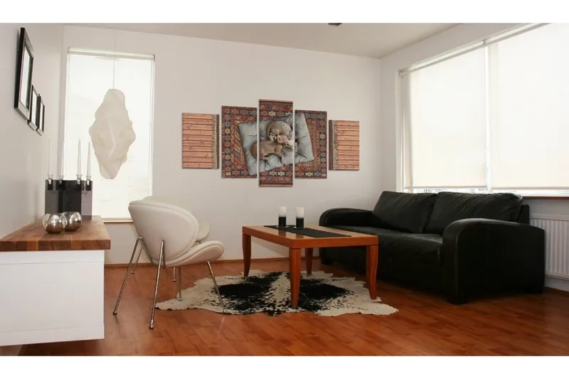 Tavla Soft kitty, warm kitty, little ball of fur... 100x50, Artgeist sp. z o. o.