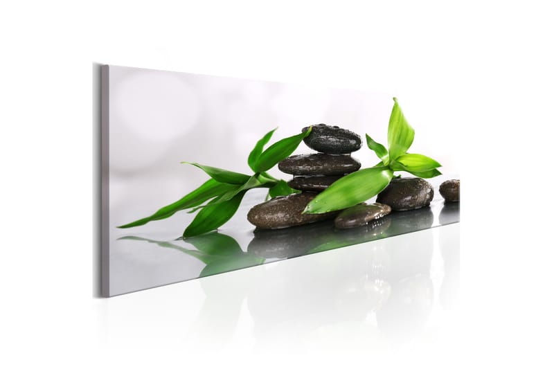 Tavla Spa Bamboo And Stones 120x40, Artgeist sp. z o. o.