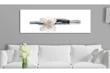 Tavla Spa Beauty And Relaxation 135x45 - Artgeist sp. z o. o. - Inredning - Tavlor & konst - Canvastavlor