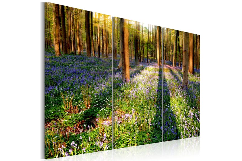 Tavla Spring Forest 90x60, Artgeist sp. z o. o.