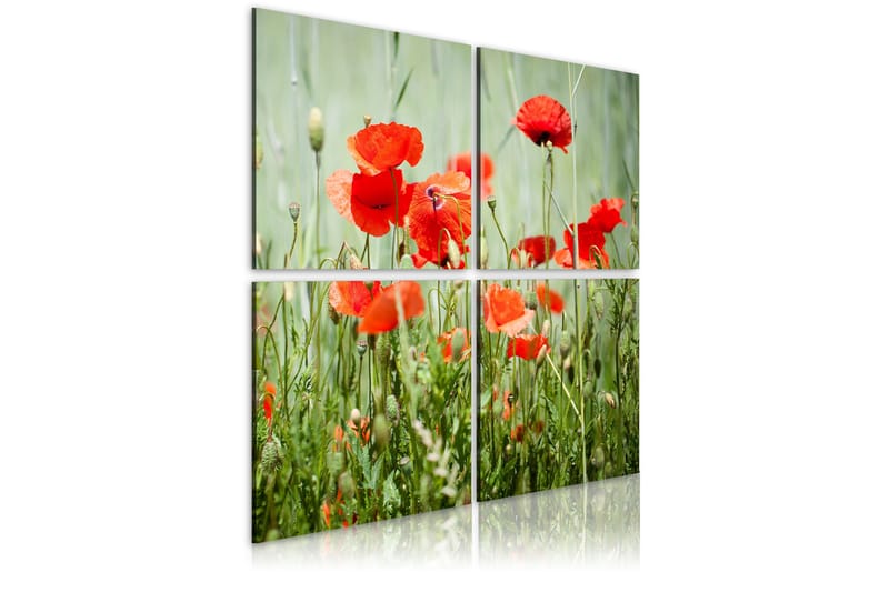 Tavla Springtime 60x60, Artgeist sp. z o. o.