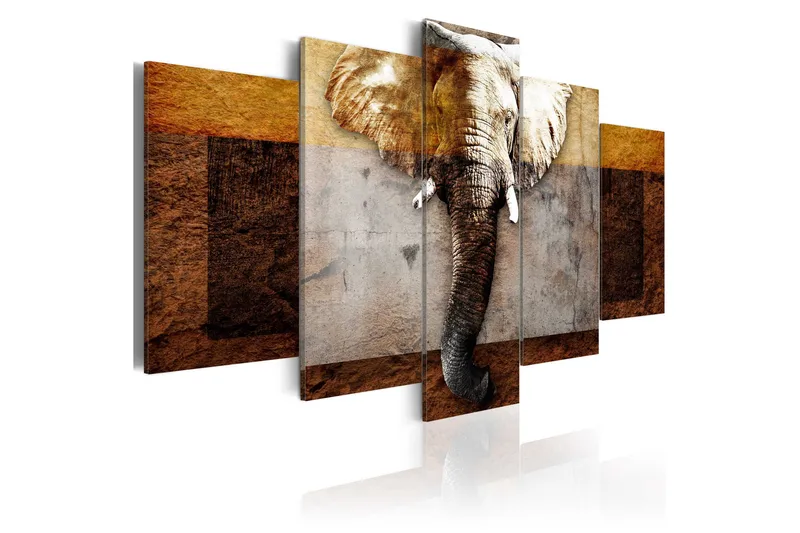 Tavla Strength Of Africa 200x100, Artgeist sp. z o. o.