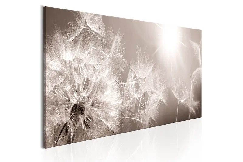 Tavla Summer Dandelions 135x45, Artgeist sp. z o. o.