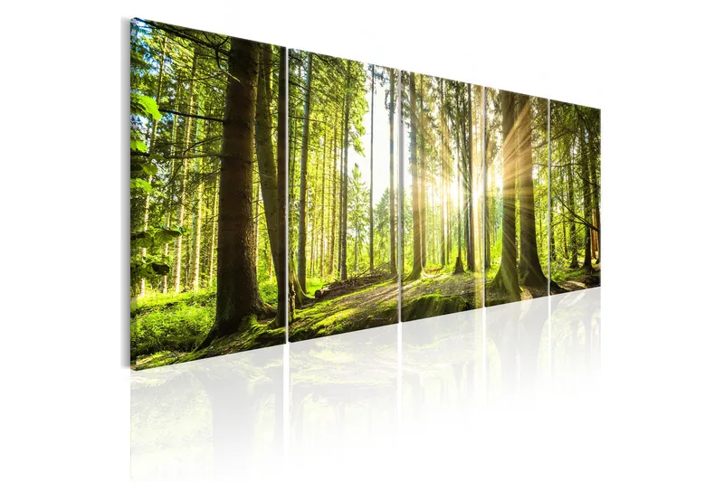 Tavla Sunlight 200x80 - Artgeist sp. z o. o. - Inredning - Tavlor & konst - Canvastavlor