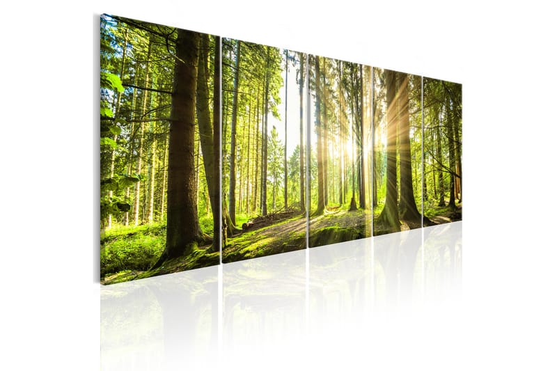 Tavla Sunlight 225x90, Artgeist sp. z o. o.