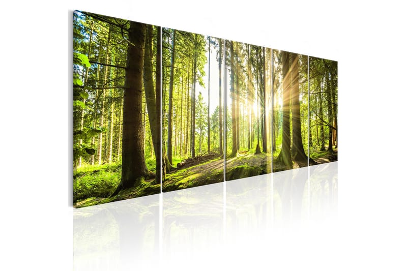 Tavla Sunlight 225x90, Artgeist sp. z o. o.