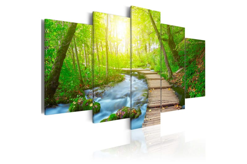 Tavla Sunny Forest 100x50, Artgeist sp. z o. o.