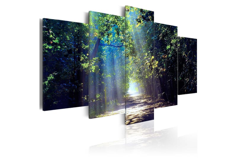 Tavla Sunny Forest Path 100x50, Artgeist sp. z o. o.