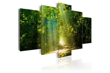 Tavla Sunshine Road 100x50