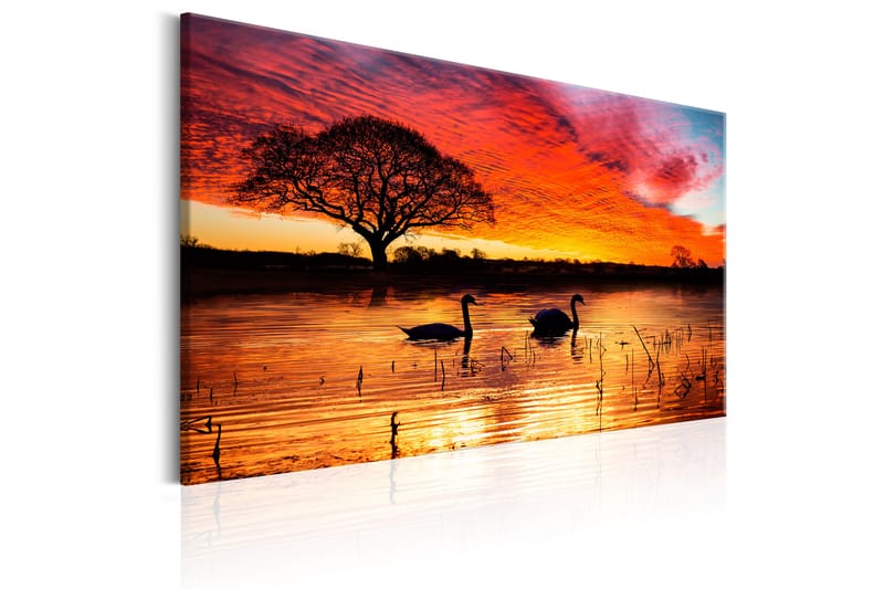 Tavla Swan Lake 90x60 - Artgeist sp. z o. o. - Inredning - Tavlor & konst - Canvastavlor