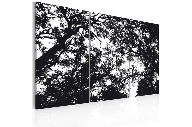 Tavla Tät Skog 60x40 - Artgeist sp. z o. o. - Inredning - Tavlor & konst - Canvastavlor