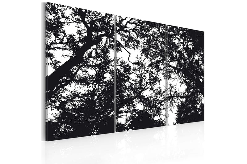 Tavla Tät skog 90x60, Artgeist sp. z o. o.