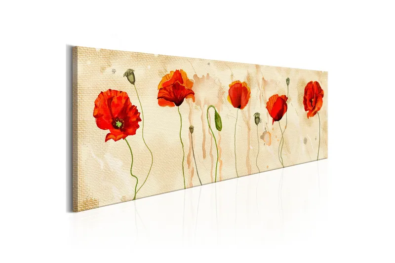 Tavla Tears Of Poppies 150x50, Artgeist sp. z o. o.