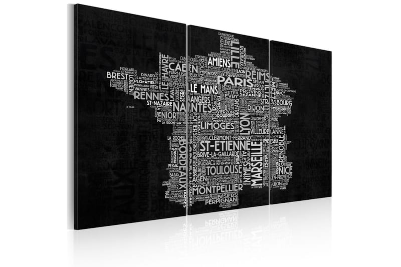 Tavla Text Map Of France Triptych 60x40, Artgeist sp. z o. o.