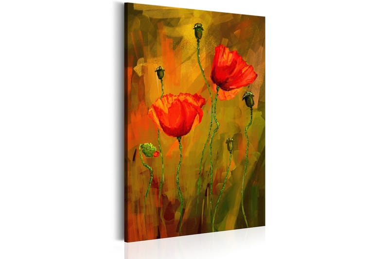 Tavla The Awakening of Poppy 80x120 - Artgeist sp. z o. o. - Inredning - Tavlor & konst - Canvastavlor
