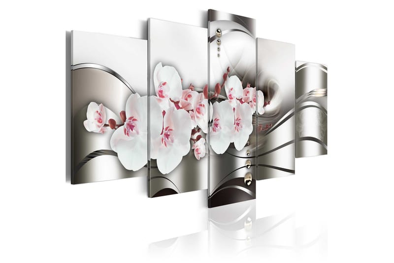 Tavla The Beauty Of Orchids 200x100, Artgeist sp. z o. o.