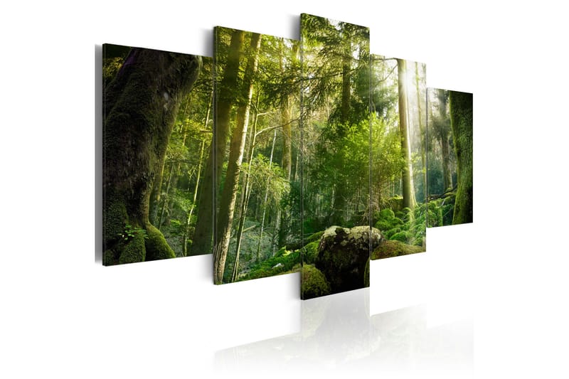 Tavla The Beauty Of The Forest 100x50 - Artgeist sp. z o. o. - Canvastavlor