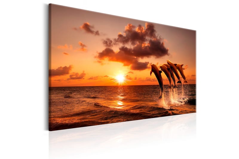 Tavla The Dolphin's Dance 60x40 - Artgeist sp. z o. o. - Inredning - Tavlor & konst - Canvastavlor