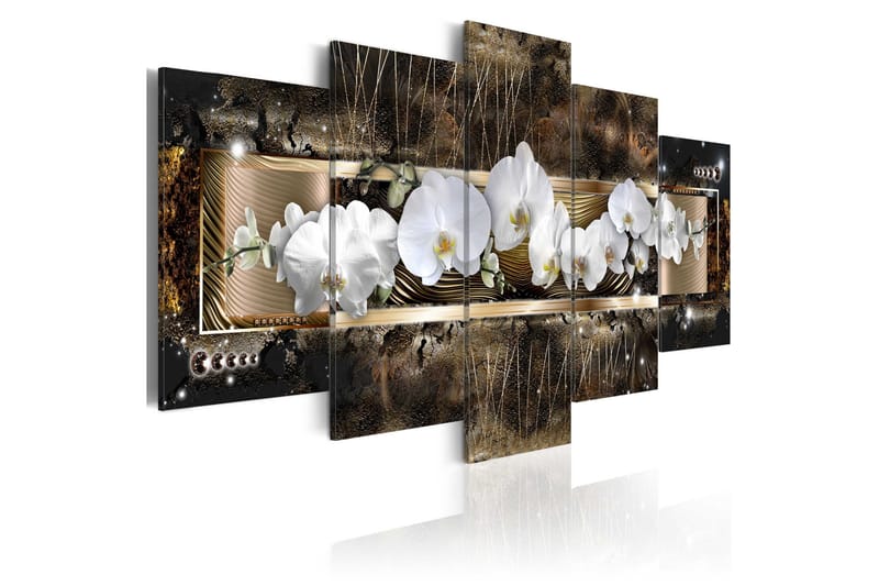 Tavla The Dream Of A Orchids 100x50, Artgeist sp. z o. o.