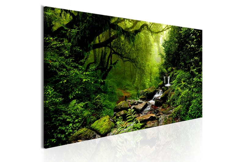 Tavla The Fairytale Forest 150x50 - Artgeist sp. z o. o. - Canvastavlor