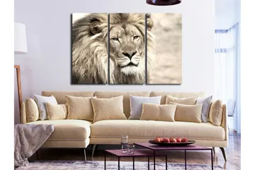 Tavla The King Of Beasts 3 Parts Beige 90x60 - Artgeist sp. z o. o. - Inredning - Tavlor & konst - Canvastavlor