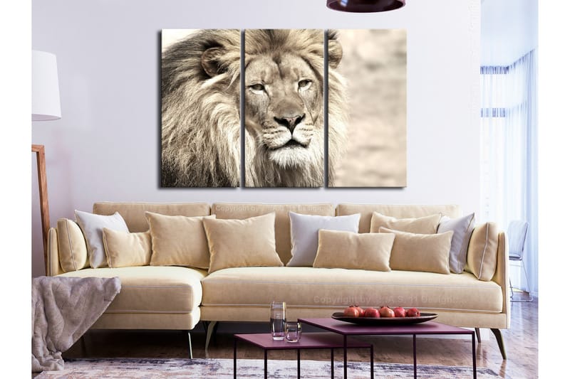 Tavla The King Of Beasts 3 Parts Beige 120x80 - Artgeist sp. z o. o. - Inredning - Tavlor & konst - Canvastavlor