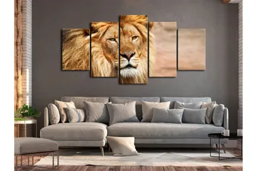 Tavla The King Of Beasts 5 Parts Wide Orange 100x50 - Artgeist sp. z o. o. - Inredning - Tavlor & konst - Canvastavlor