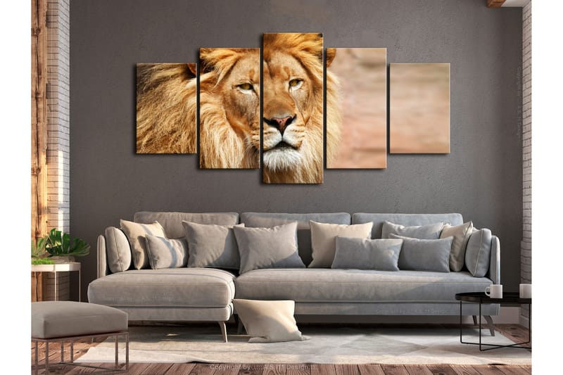 Tavla The King Of Beasts 5 Parts Wide Orange 100x50 - Artgeist sp. z o. o. - Inredning - Tavlor & konst - Canvastavlor