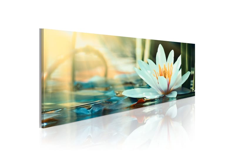 Tavla The Lake Of Lotus 135x45, Artgeist sp. z o. o.