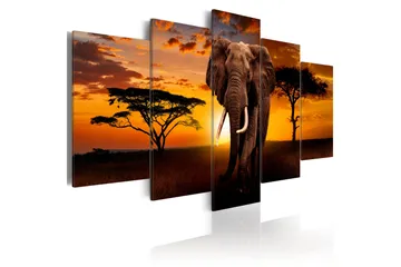Tavla The Savannah King 200x100 - Artgeist sp. z o. o. - Inredning - Tavlor & konst - Canvastavlor