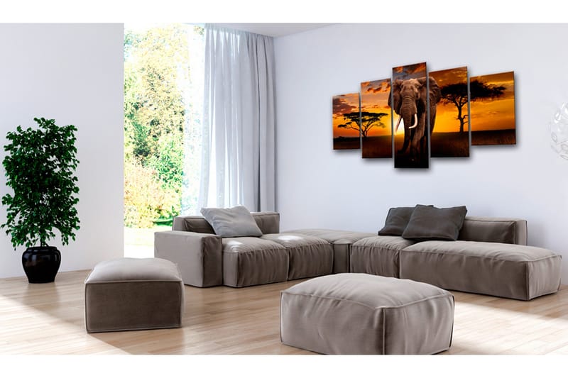 Tavla The Savannah King 200x100, Artgeist sp. z o. o.