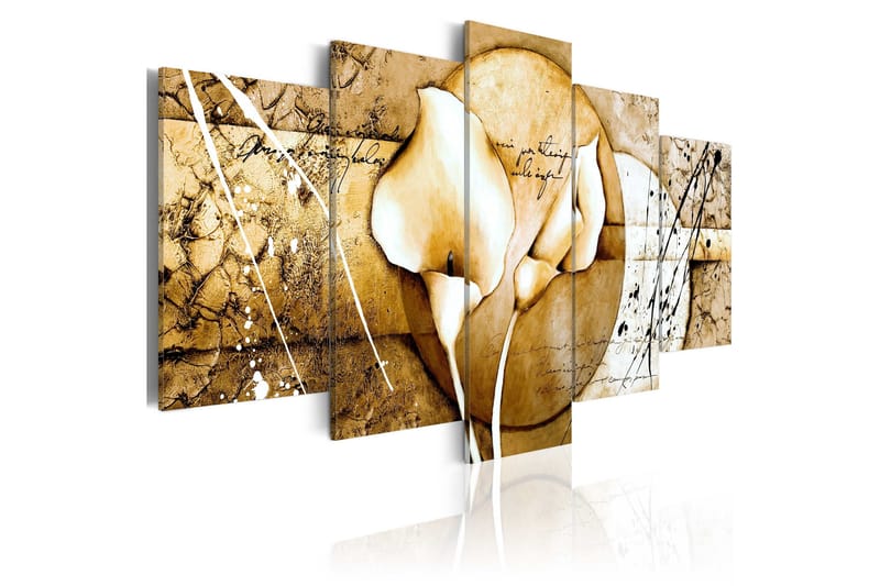 Tavla The Secret Of Calla Lily Beige 100x50, Artgeist sp. z o. o.