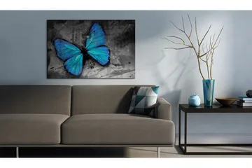 Tavla The study of butterfly 120x80 - Artgeist sp. z o. o. - Inredning - Tavlor & konst - Canvastavlor