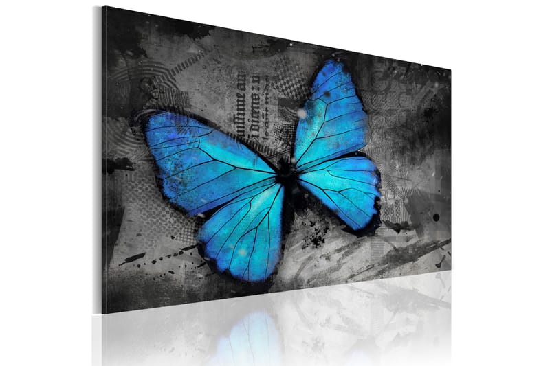 Tavla The Study Of Butterfly 60x40, Artgeist sp. z o. o.