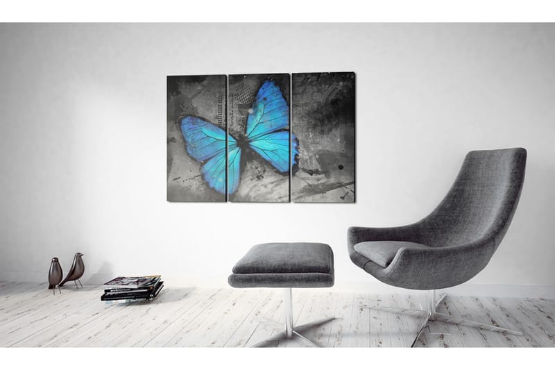 Tavla The Study Of Butterfly Triptych 120x80 - Artgeist sp. z o. o. - Inredning - Tavlor & konst - Canvastavlor