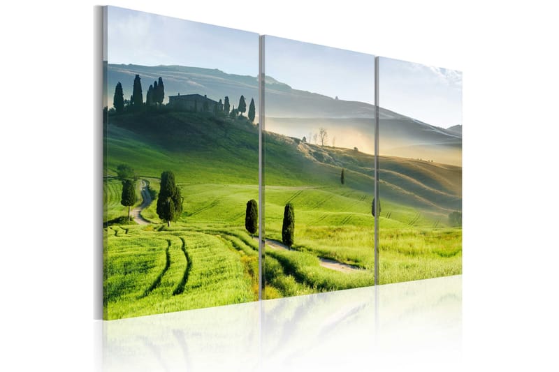 Tavla Time Of Harvest 60x40, Artgeist sp. z o. o.