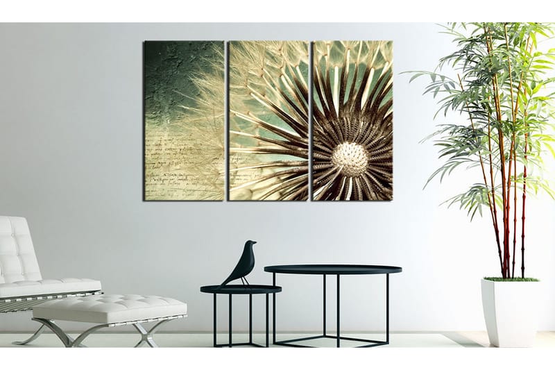 Tavla Transitory Beauty 90x60 - Artgeist sp. z o. o. - Inredning - Tavlor & konst - Canvastavlor