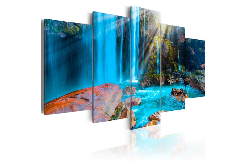 Tavla Treasures Of Nature 100x50 - Artgeist sp. z o. o. - Inredning - Tavlor & konst - Canvastavlor