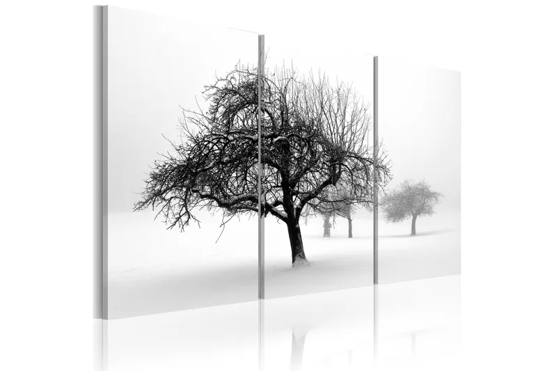 Tavla Trees submerged in white 90x60, Artgeist sp. z o. o.