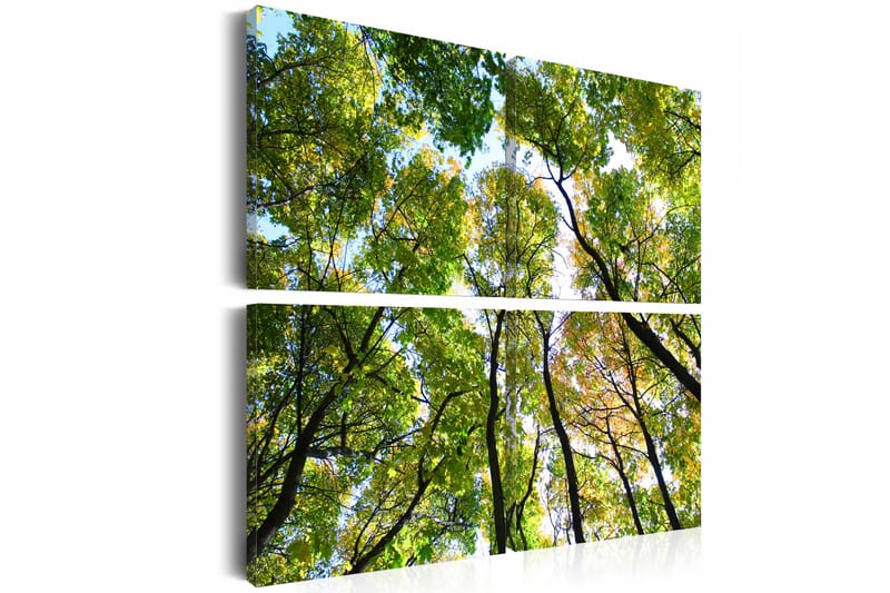 Tavla Treetops 40x40 - Artgeist sp. z o. o. - Inredning - Tavlor & konst - Canvastavlor