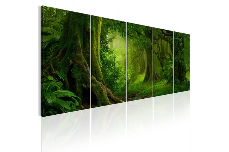 Tavla Tropical Jungle 225x90, Artgeist sp. z o. o.