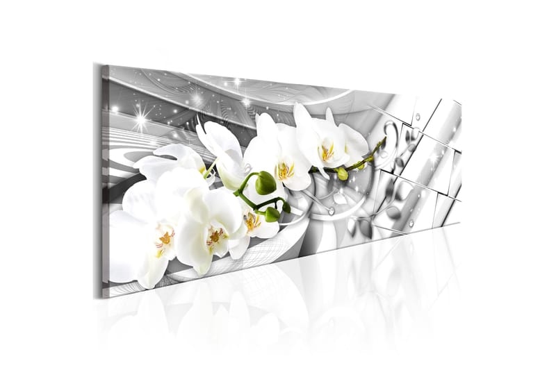Tavla Twisted Orchids 120x40 - Artgeist sp. z o. o. - Canvastavlor