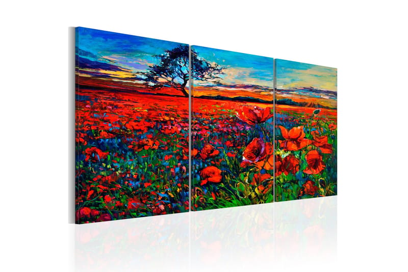 Tavla Valley of Poppies 60x30 - Artgeist sp. z o. o. - Inredning - Tavlor & konst - Canvastavlor