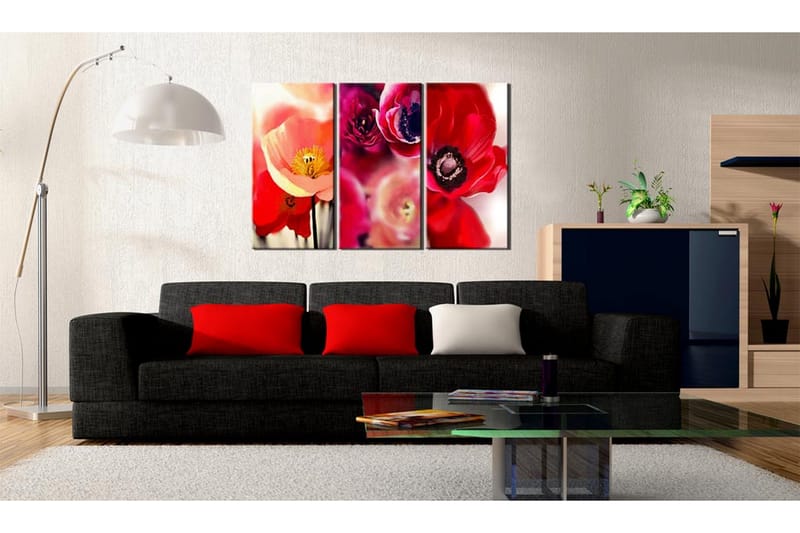 Tavla Vallmo Tre Perspektiv 120x80 - Artgeist sp. z o. o. - Inredning - Tavlor & konst - Canvastavlor